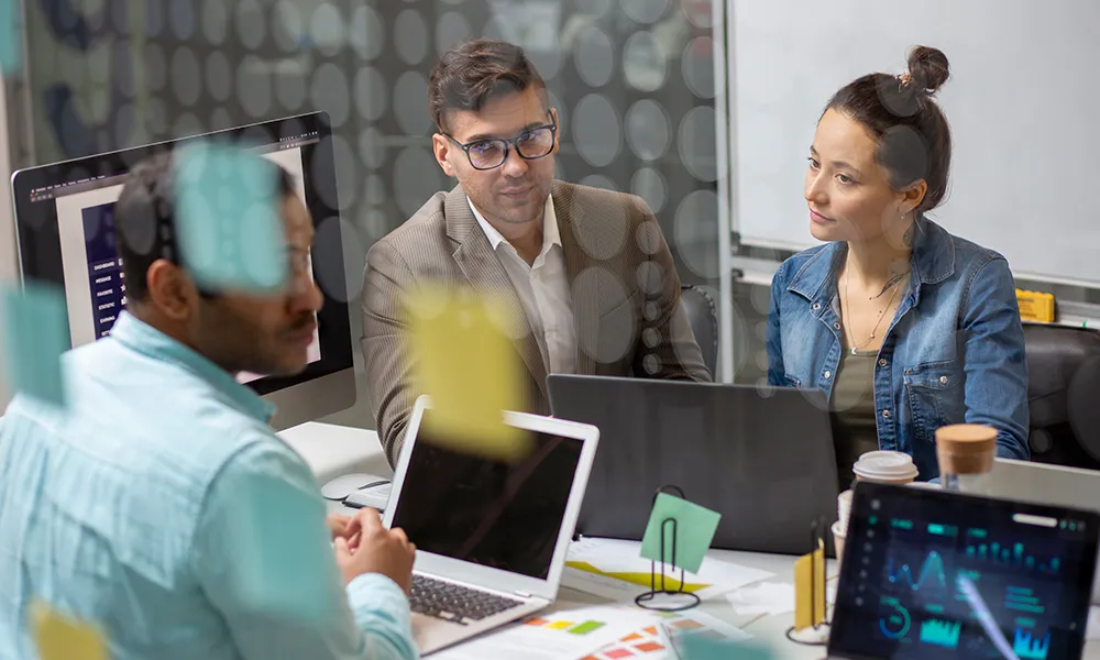 Developing Your Own Software Development - Computing Australia Group